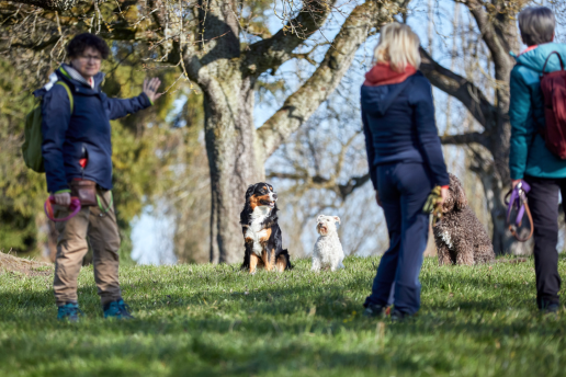 Drei Personen mit drei wartenden Hunden