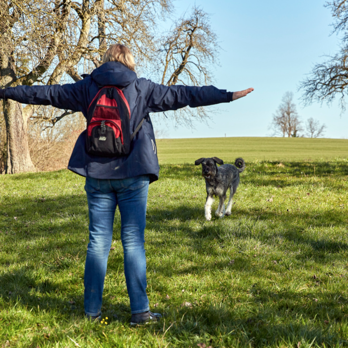 Person ruft Hund zu sich auf einer Wiese