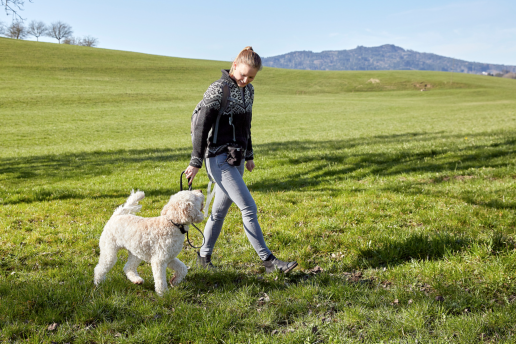 Frau geht mit Hund an der Leine über die Wiese