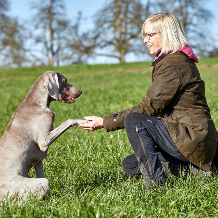 Frau und Hund auf Wiese, Hund gibt Pfötchen